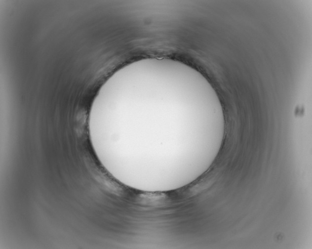 X0000091060480200709041203