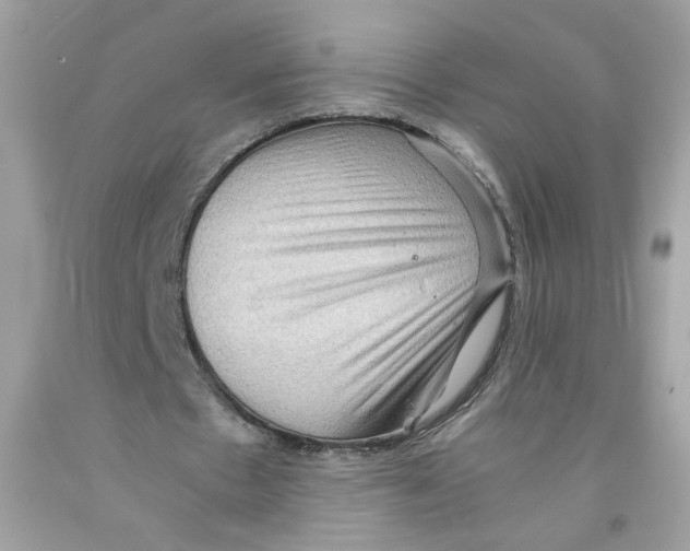 X0000091060481200709041202