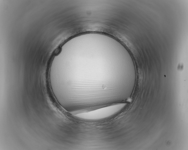 X0000091060482200709041202