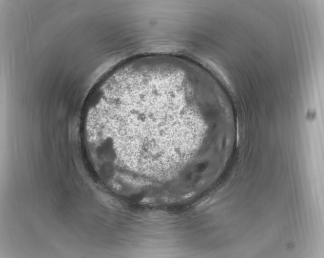 X0000091060483200709041202