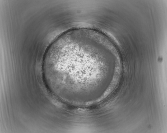 X0000091060487200709041202