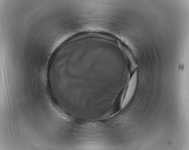 X0000091060488200709041202