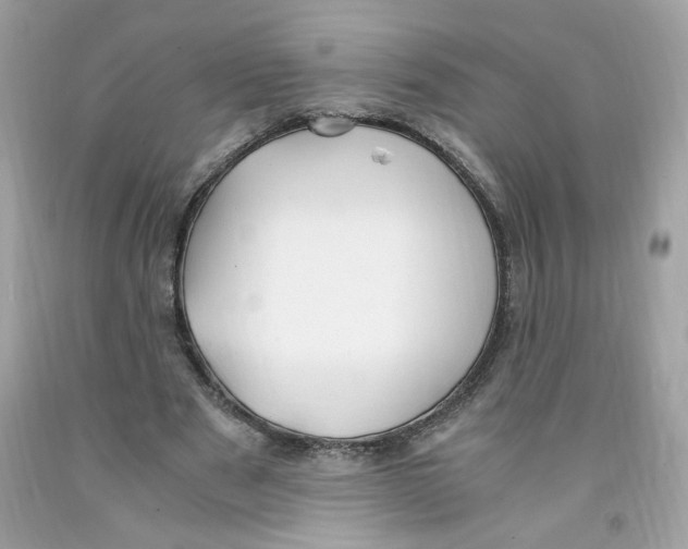 X0000091060489200709041202