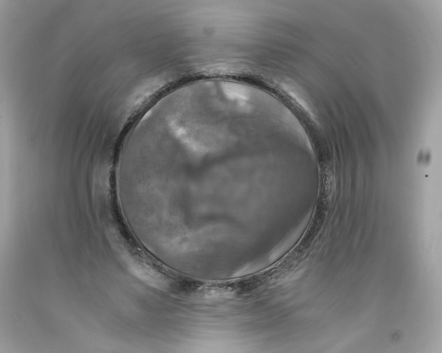 X0000091060491200709041202