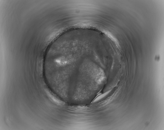 X0000091060493200709041202