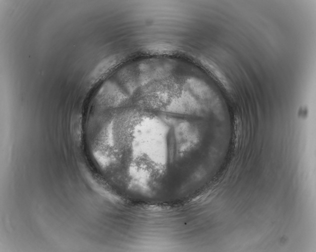 X0000091060494200709041202