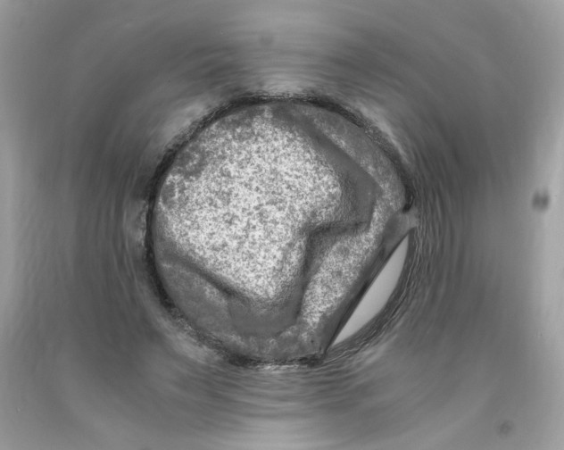 X0000091060495200709041202