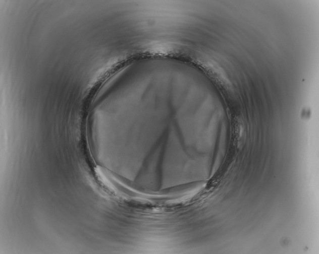 X0000091060496200709041202