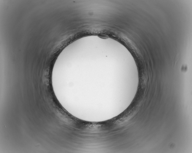 X0000091060497200709041202