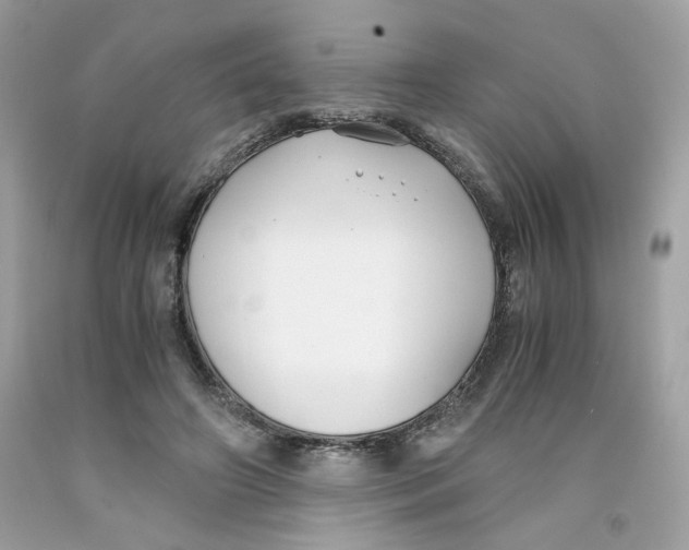 X0000091060498200709041202