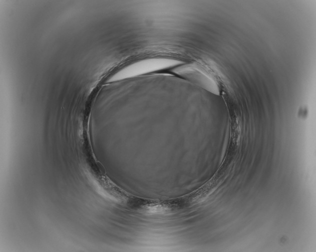 X0000091060500200709041202