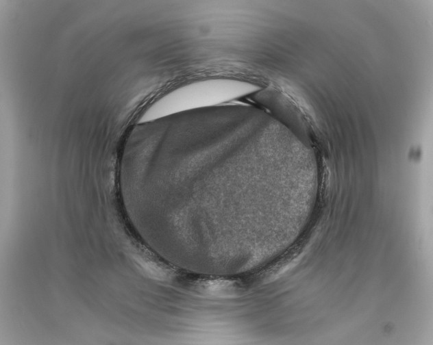 X0000091060501200709041202