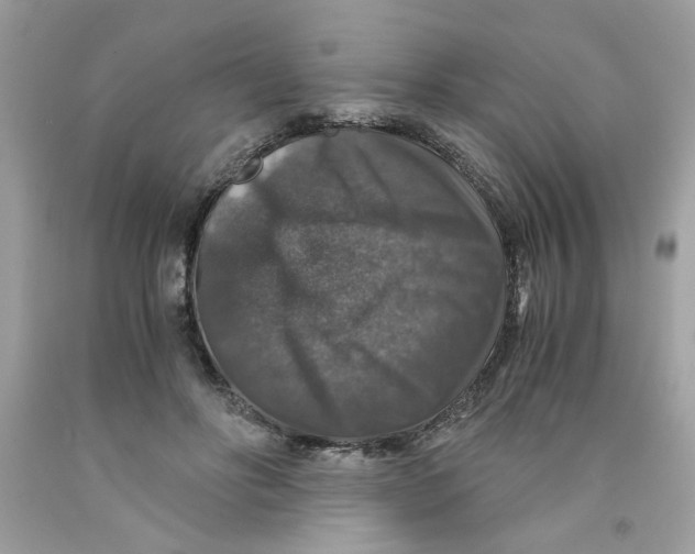 X0000091060502200709041202