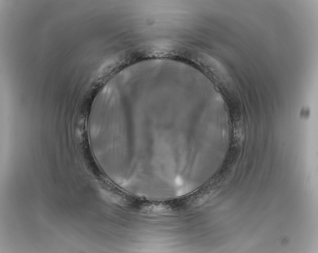 X0000091060503200709041202