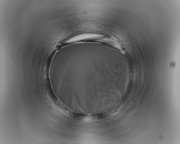 X0000091060504200709041202