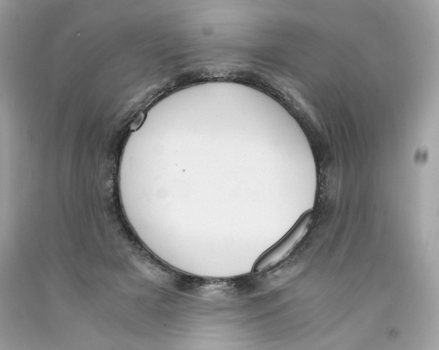 X0000091060505200709041202