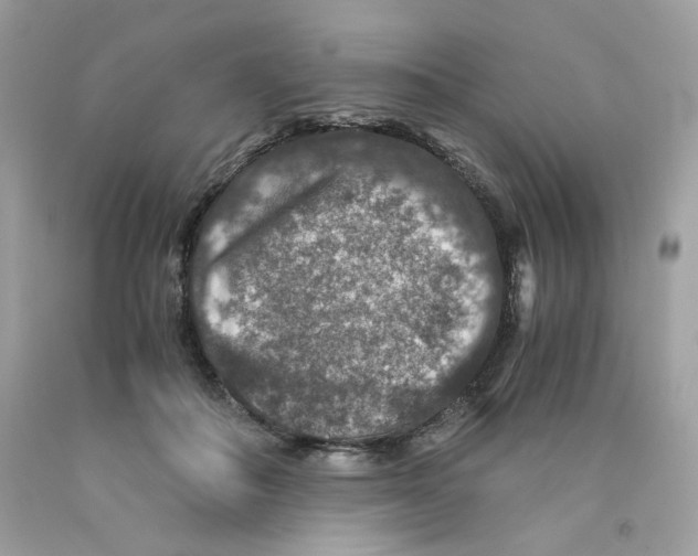 X0000091060506200709041202