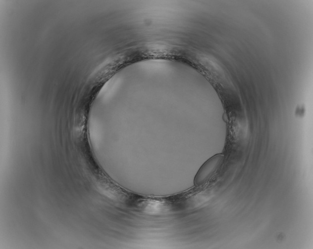 X0000091060507200709041202