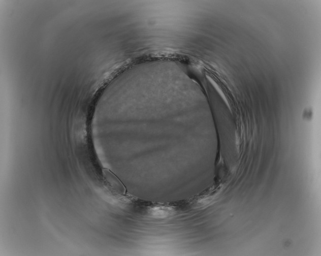 X0000091060508200709041202