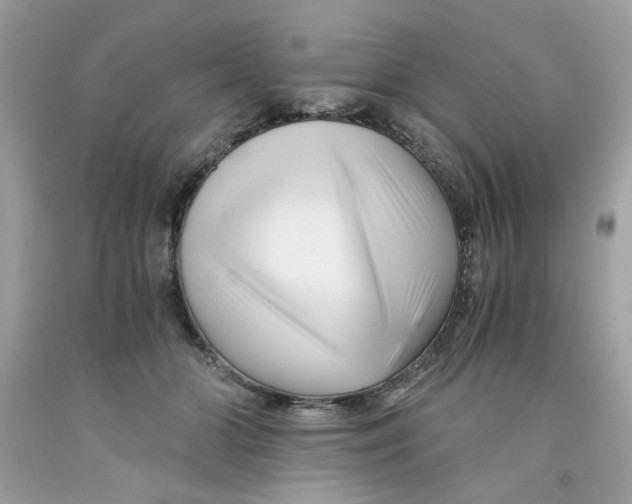 X0000091060510200709041202