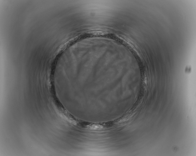 X0000091060512200709041202