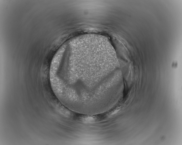 X0000091060513200709041202