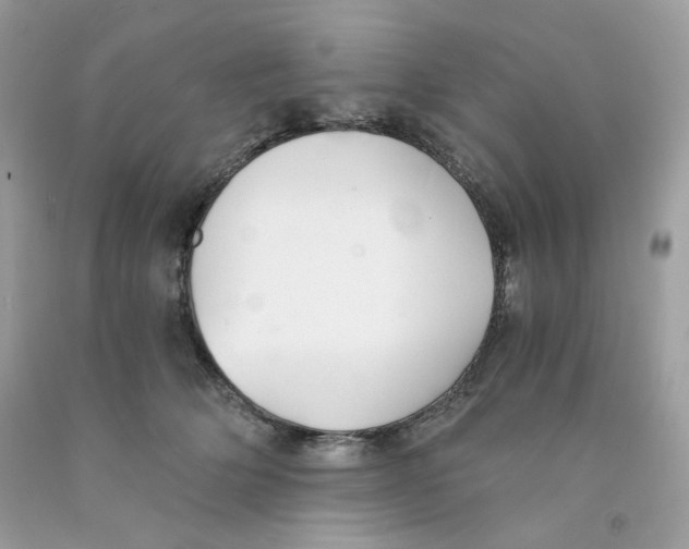 X0000091060514200709041201