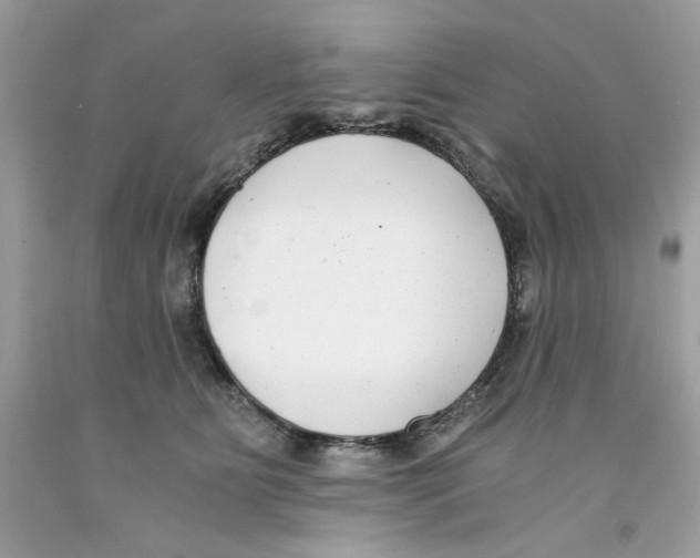 X0000091060515200709041201