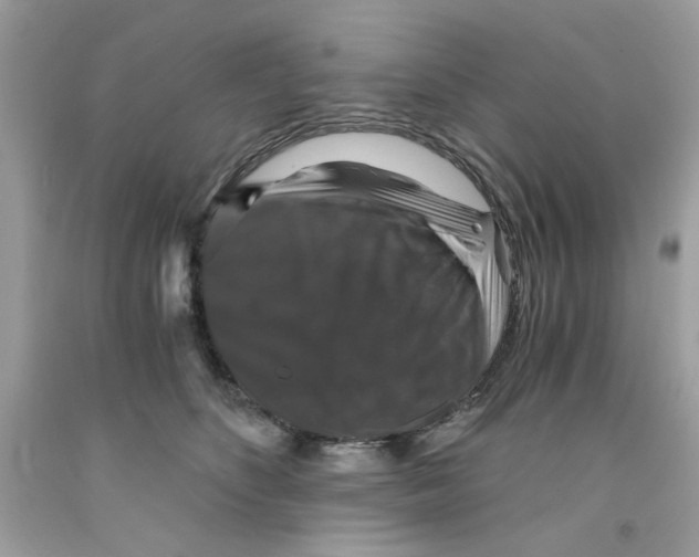 X0000091060516200709041201