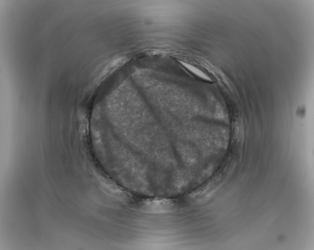 X0000091060517200709041201