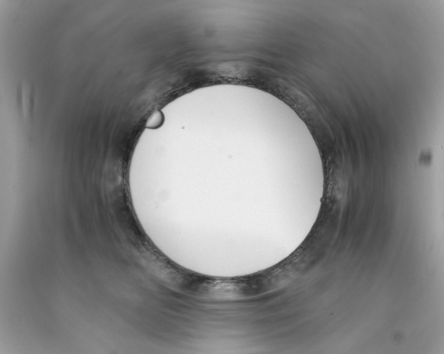 X0000091060518200709041201