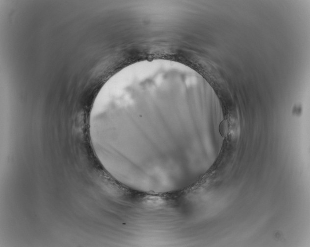 X0000091060519200709041201