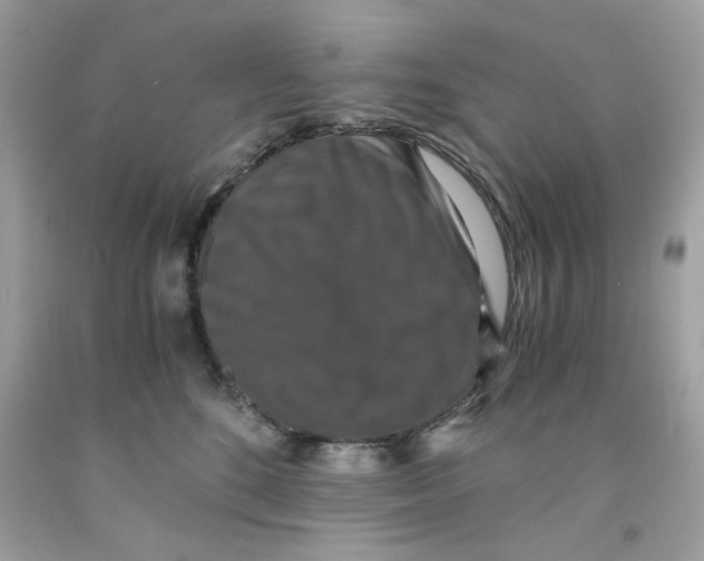 X0000091060520200709041201