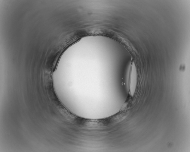 X0000091060521200709041201