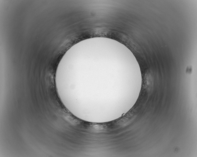 X0000091060522200709041201