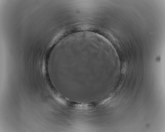 X0000091060524200709041201