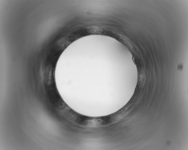 X0000091060525200709041201