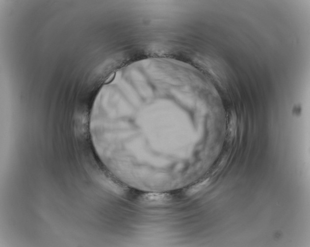 X0000091060526200709041201