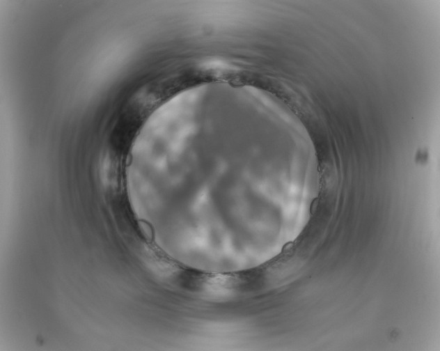 X0000091060527200709041201