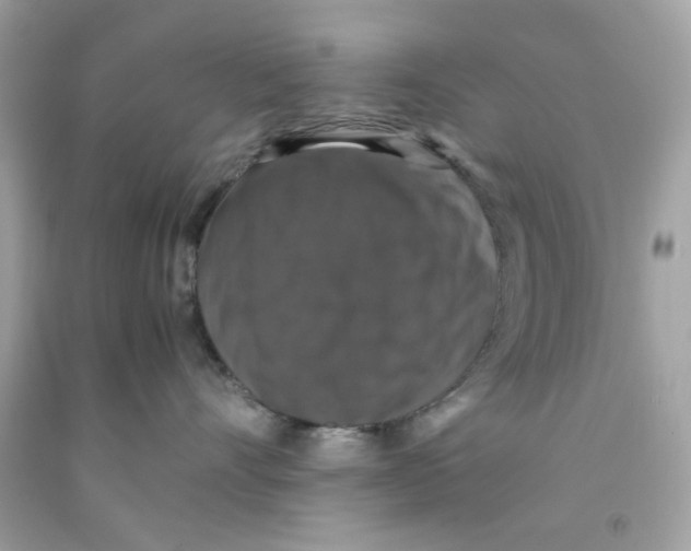 X0000091060528200709041201