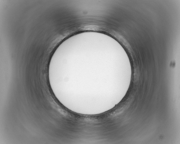 X0000091060529200709041201