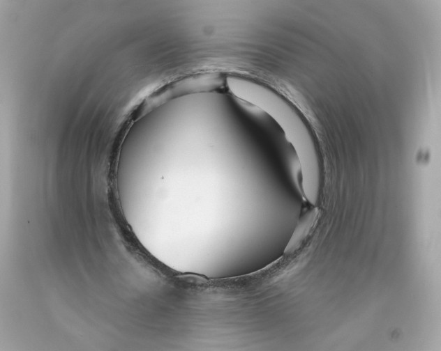 X0000091060530200709041201