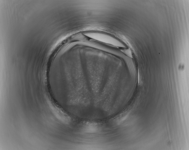 X0000091060531200709041201