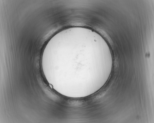 X0000091060533200709041201