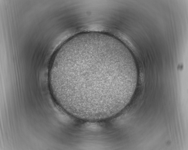 X0000091060534200709041201