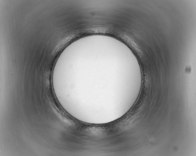 X0000091060537200709041201