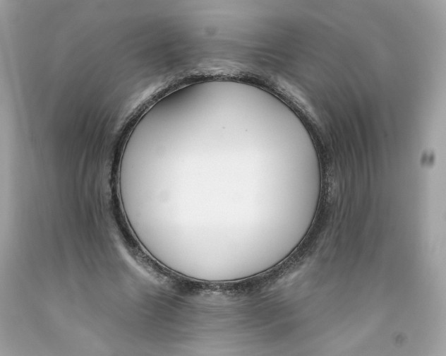 X0000091060538200709041201