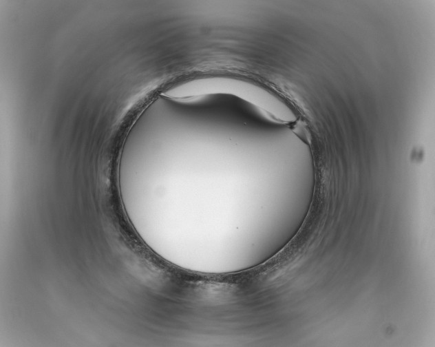 X0000091060539200709041201