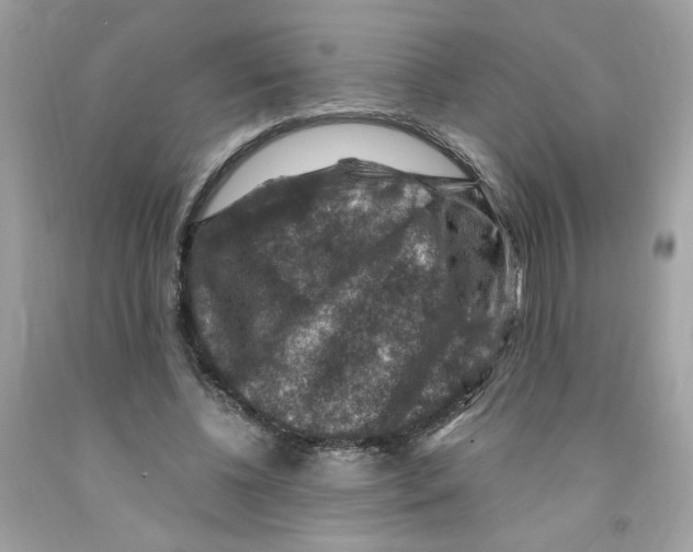 X0000091060540200709041201