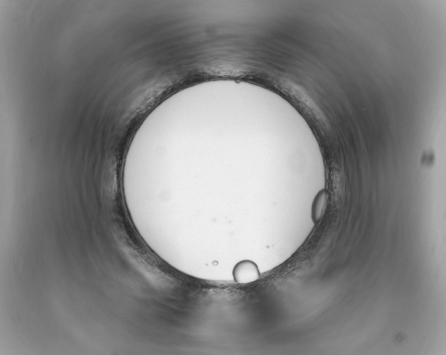 X0000091060541200709041201